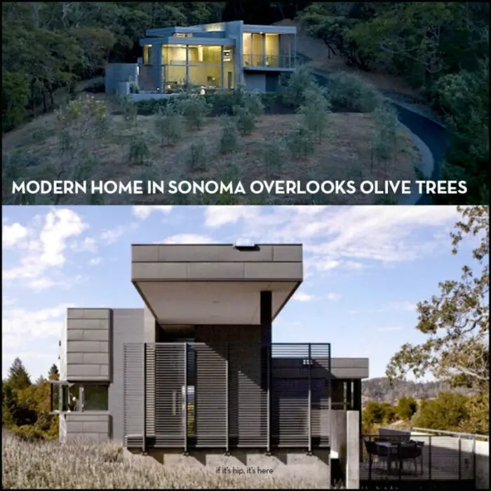 Read more about the article A Small Modern Home Overlooks Olive Trees in Sonoma by Cooper Joseph Studio.