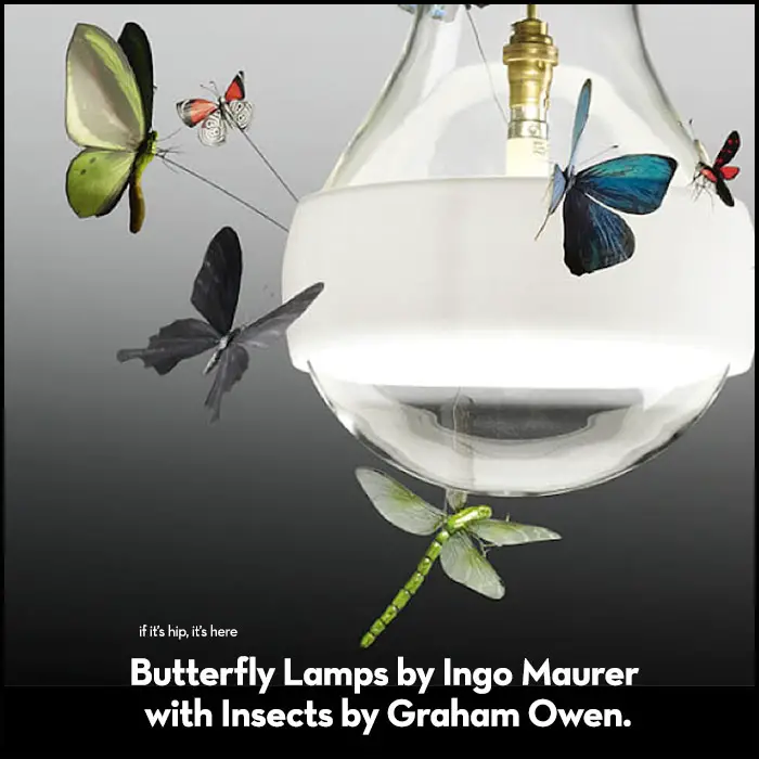 Read more about the article Like Moths To A Flame. Butterfly Lamps by Ingo Maurer with Insects by Graham Owen.