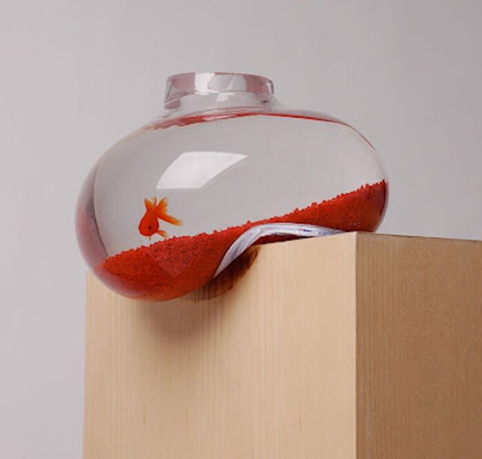 Read more about the article Fish On The Edge. The Bubble Tank by Richard Bell for Psalt Design.