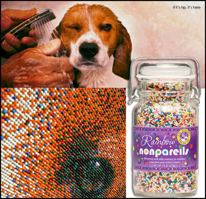 Read more about the article Nonpareil Pet Portrait. One Sweet Beagle Made of 221,184 Colored Sprinkles.