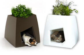 How About A Green House For Your Dog or Cat? Modern Indoor Kennels / Planters.