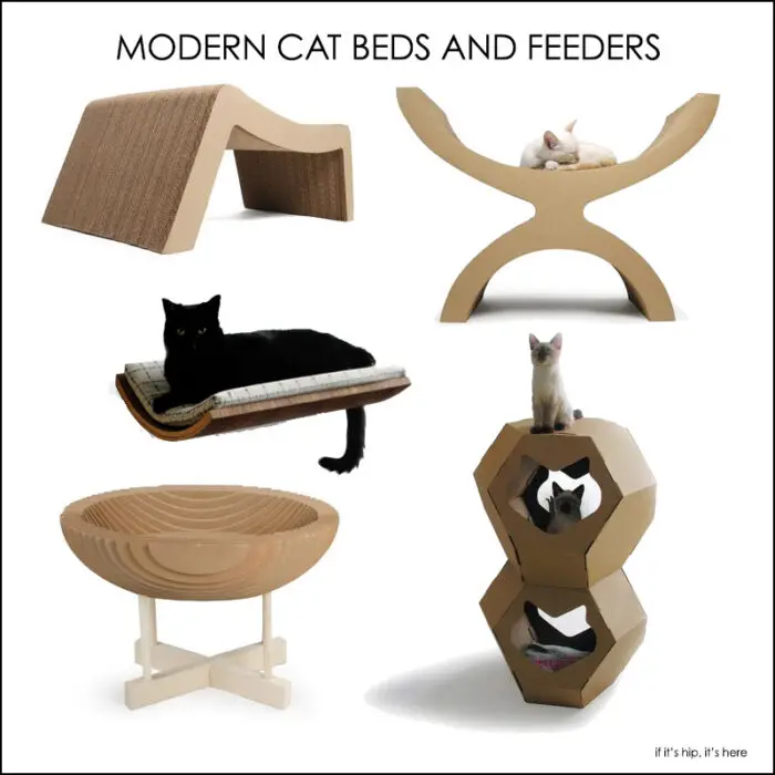 Modern cat beds and feeders