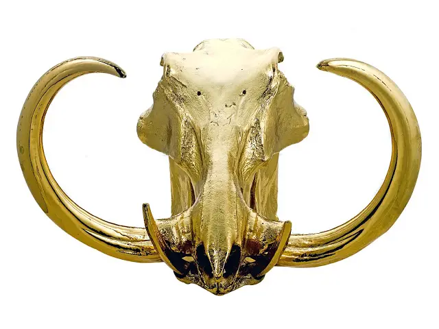 Read more about the article Gilding The Carnivore. Human and Animal Skulls Dipped In 24kt Gold.