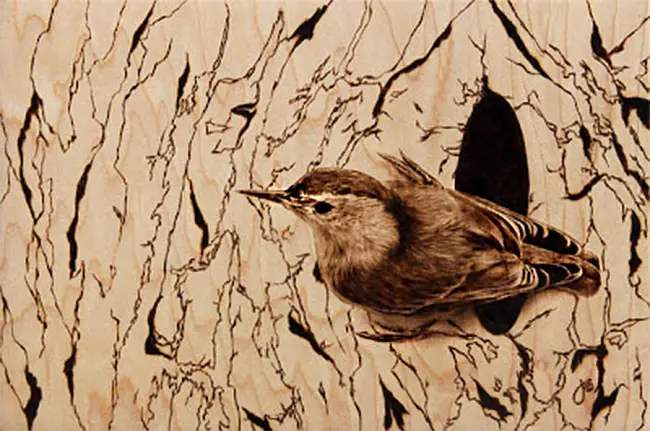 bird illustratiojin tree