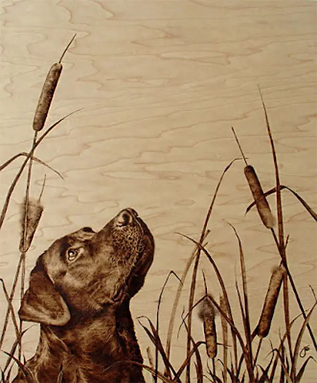 black lab drawing with wood burner