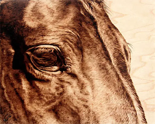 equine art