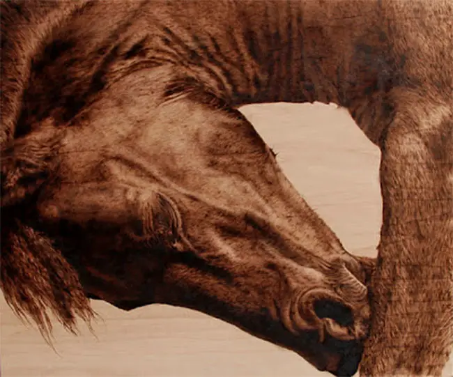 horse artist