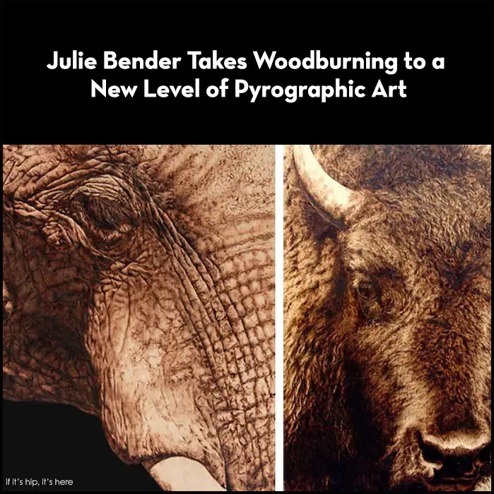 Read more about the article Burn Wood, Baby, Burn. The Incredible Pyrographic Art of Julie Bender.