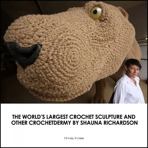 Read more about the article The World’s Largest Crochet Sculpture & Crochetdermy by Shauna Richardson.