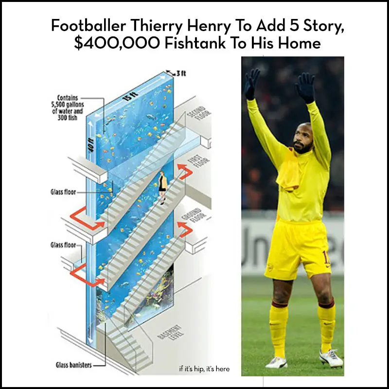 footballer theirry henry fishtank