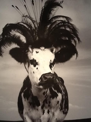 Read more about the article This Model Really is a Heifer. Jean Baptiste-Mondino’s Cow Photos for A Oh La Vache!