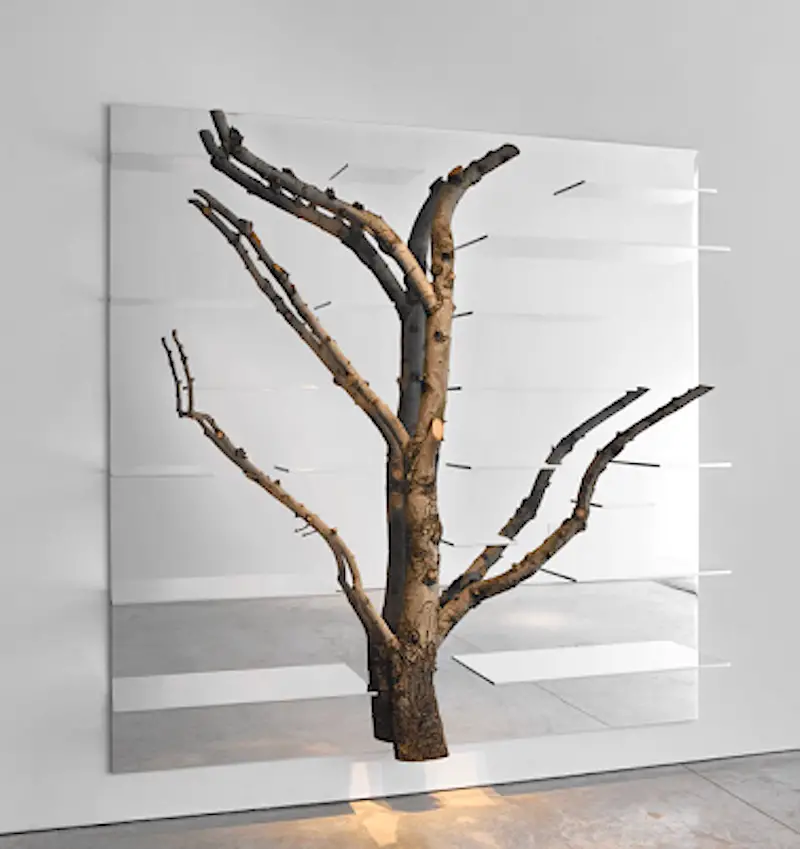Read more about the article Mondrianesque Metal Shelving By Andrea Branzi Incorporates Real Birch Trees.
