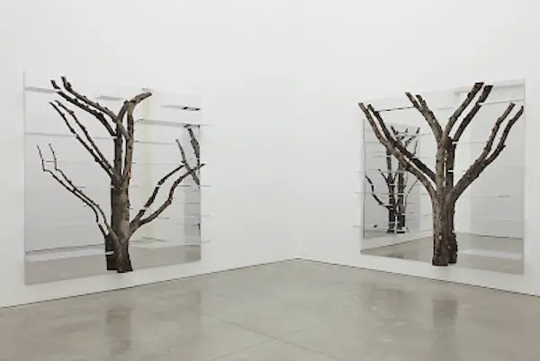 installation view of Tree 6 and Tree 7 at the Friedman Benda Gallery in New York (photo by Jon Lam)