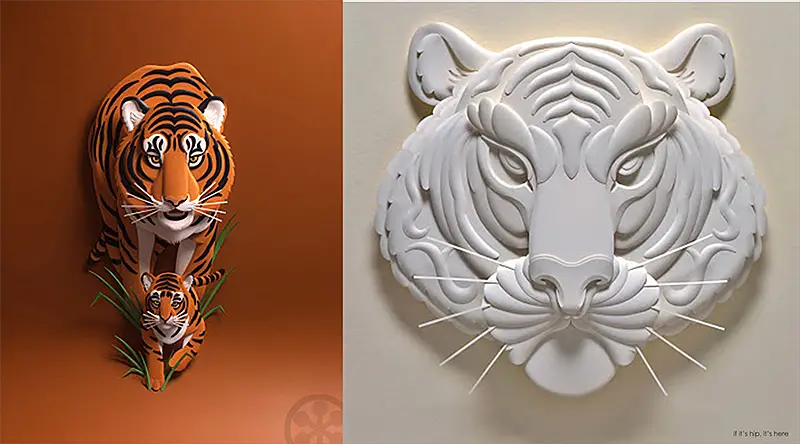 tiger color and white