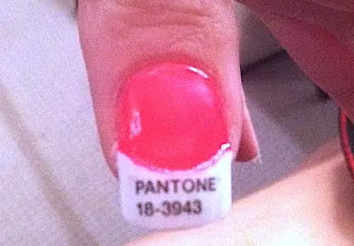 A Pantone Chip Manicure