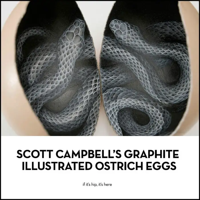 Read more about the article Scott Campbell Breaks Out Of His Shell With Graphite Illustrated Ostrich Egg Interiors.
