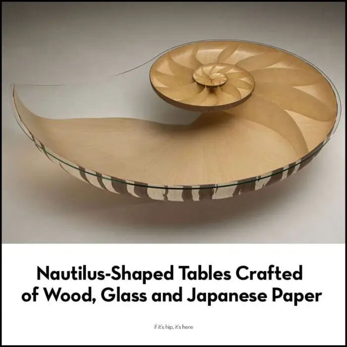 Read more about the article Handcrafted Sycamore and Walnut Tables Shaped Like Nautilus Shells by Marc Fish.