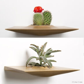 Mid-Century Modern Wall-Mounted Plant Pods For Succulents by Dominic Fiorello Studio.