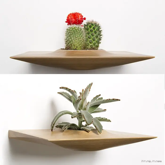 Read more about the article Mid-Century Modern Wall-Mounted Plant Pods For Succulents by Dominic Fiorello Studio.