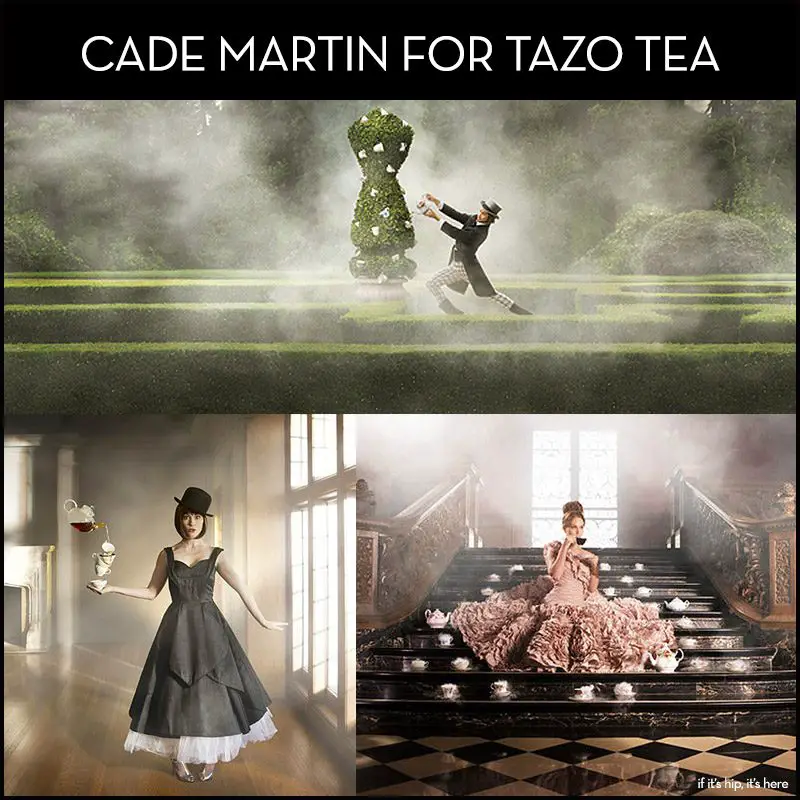 cade martin Tazo Tea