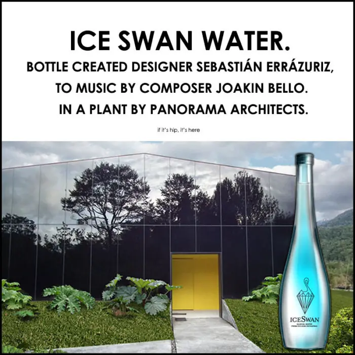 Ice Swan water