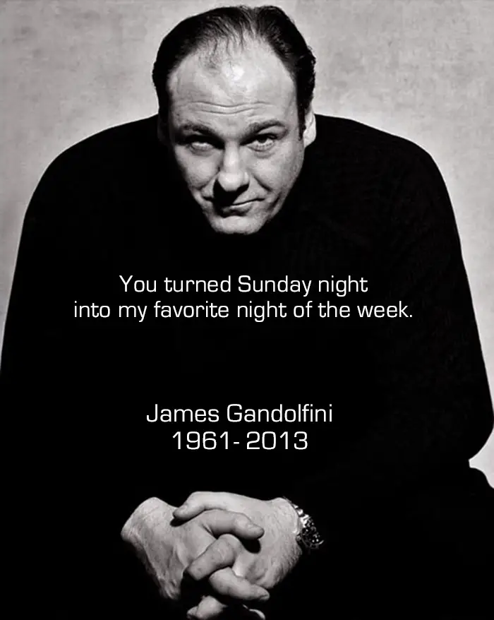 Read more about the article Actor of Screen and Stage, Sopranos James Gandolfini Dies.