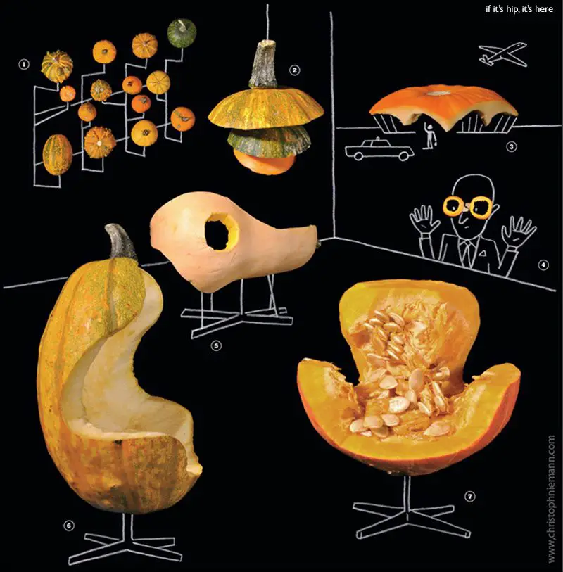 Modern Squash by christoph niemann