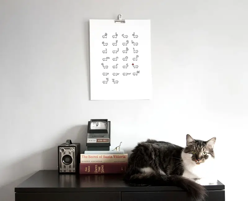 cat typeface