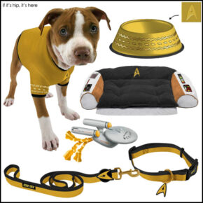 Star Trek Boldly Goes To The Dogs. Beds, Collars, Bowls and Chew Toys.