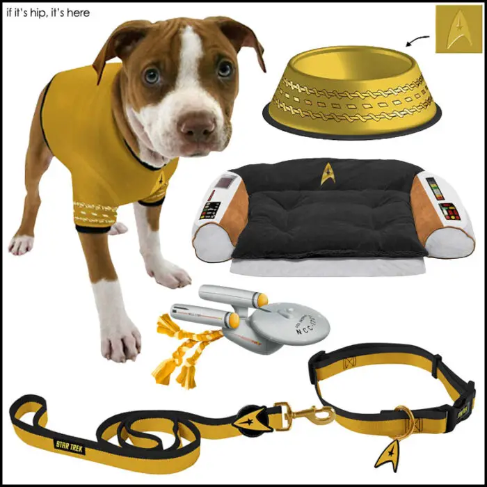 Read more about the article Star Trek Boldly Goes To The Dogs. Beds, Collars, Bowls and Chew Toys.