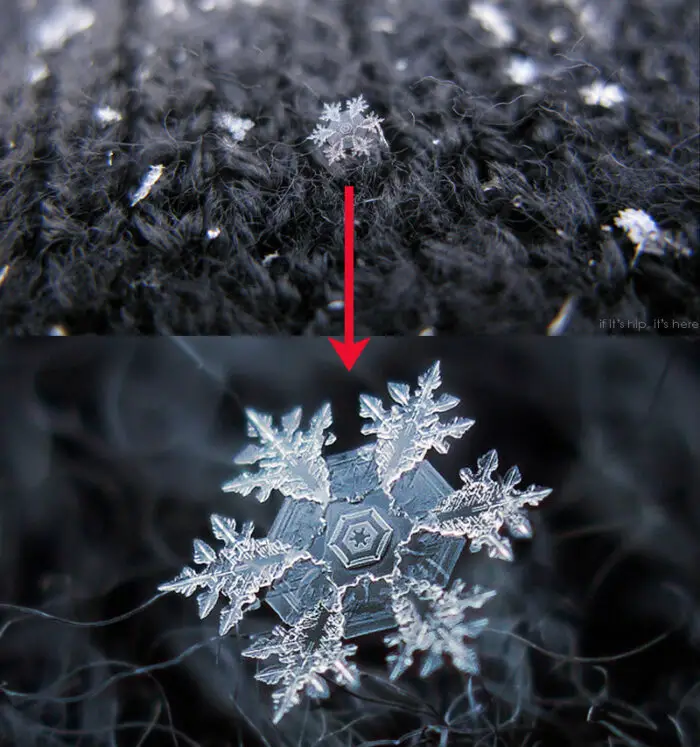 Read more about the article Amazing Close Up Photos Of Snowflakes Will Give You Goosebumps.