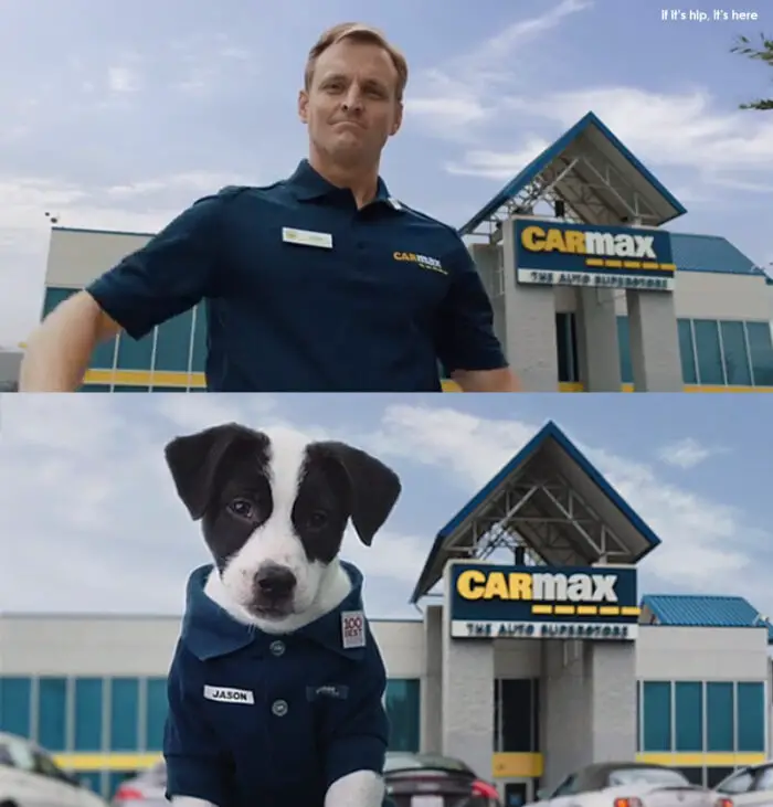 Read more about the article Car Max Super bowl  “Slow Clap” Ad is Well Done… And Then Done Again With Puppies!