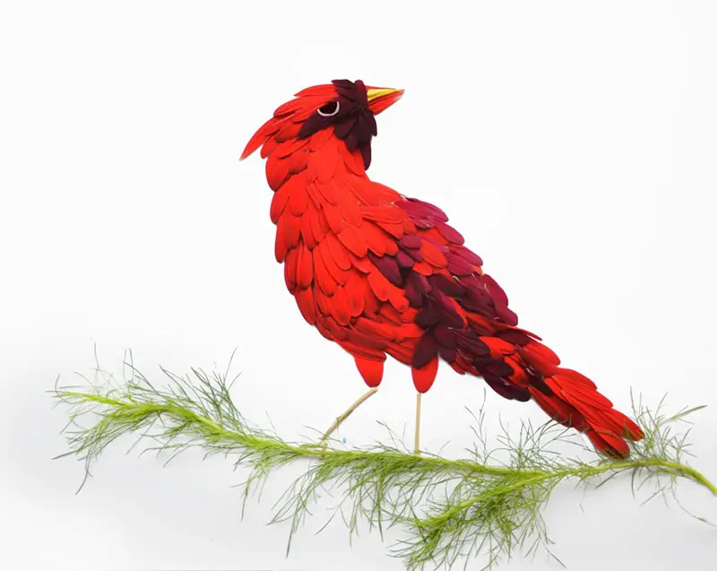 Birds Made of Flower Petals