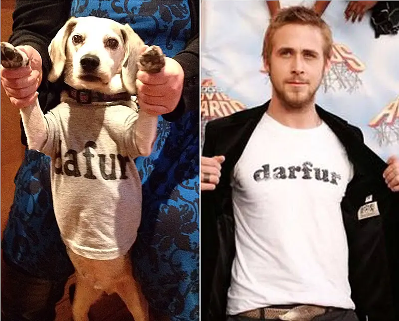 Wrigley At The Movies 2.0 dog as Ryan Gosling