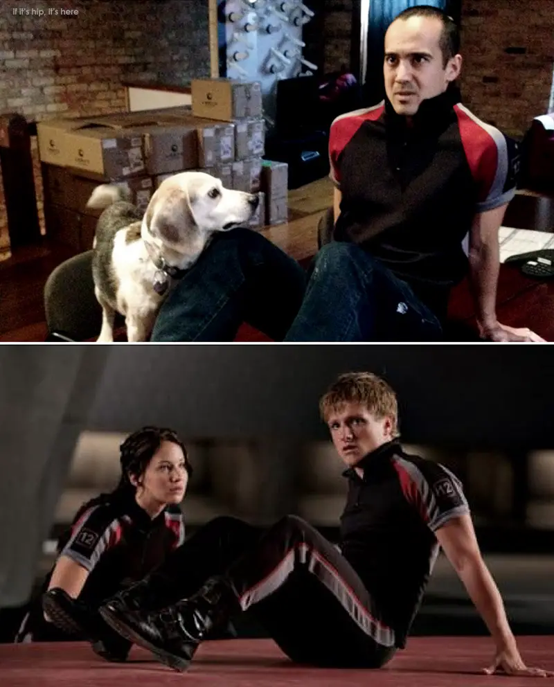 movie scenes recreated with a dog