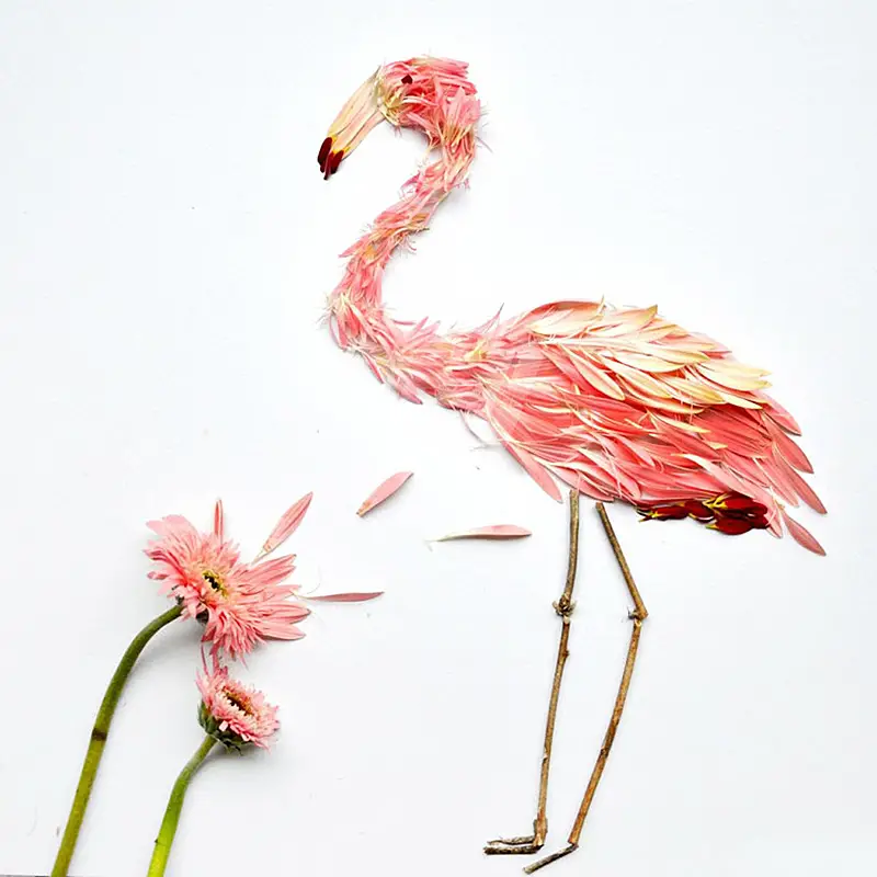 Birds Made of Flower Petals