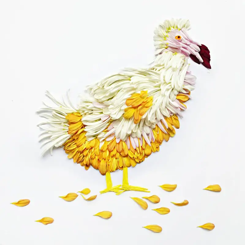 Birds Made of Flower Petals