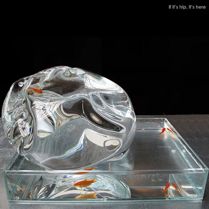 modern glass fish tank