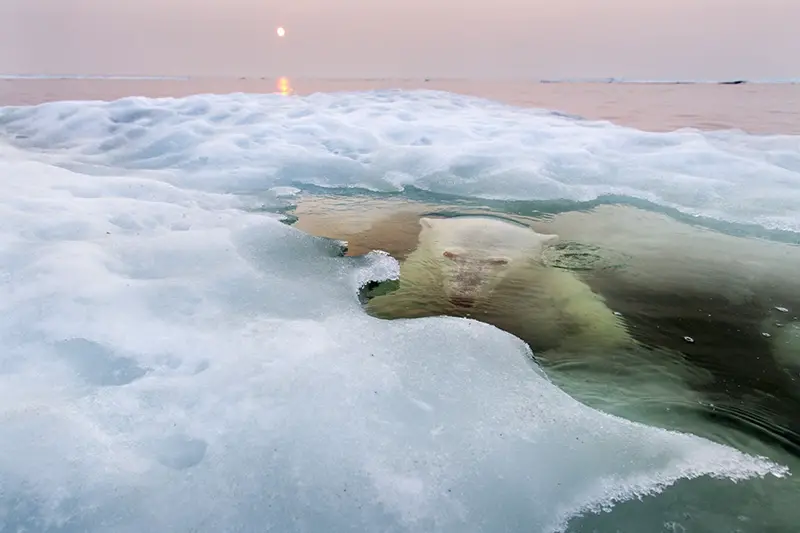 Grand Prize and Nature Winner photo from NatGeo's photo competition taken by Paul Souders of Seattle, Washington: