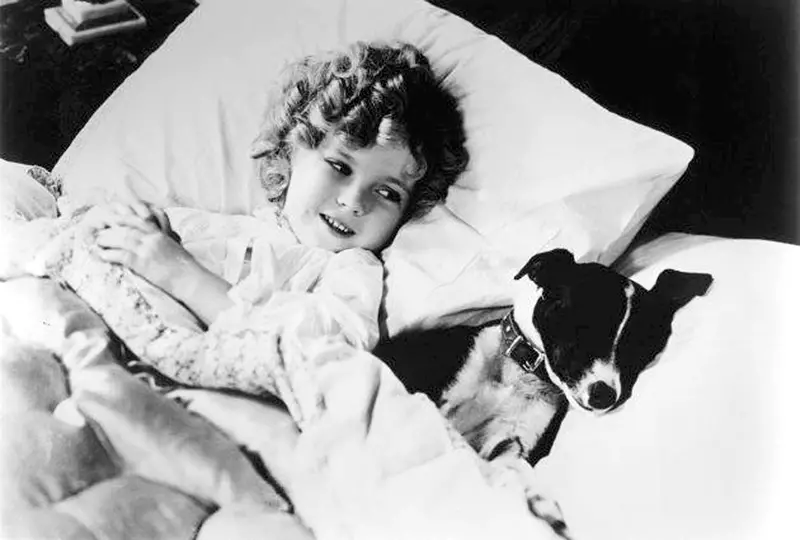 shirley temple in bed with dog