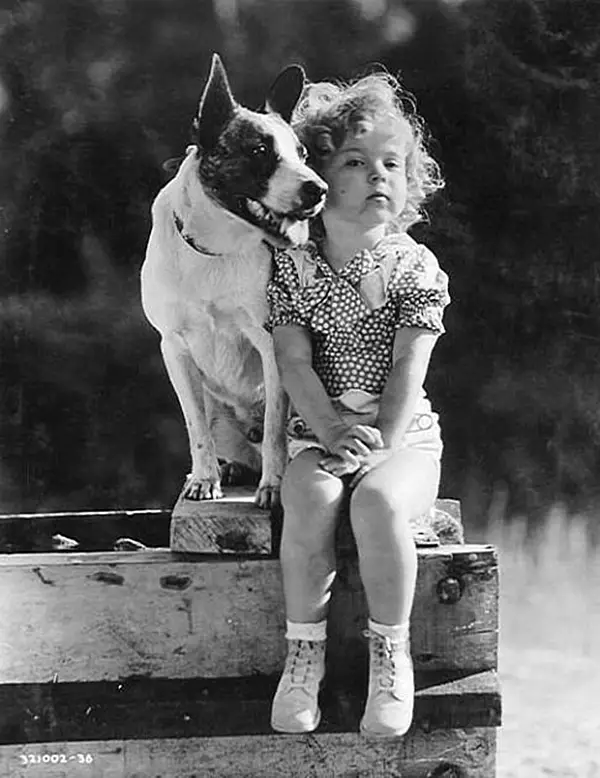 shirley temple with dog