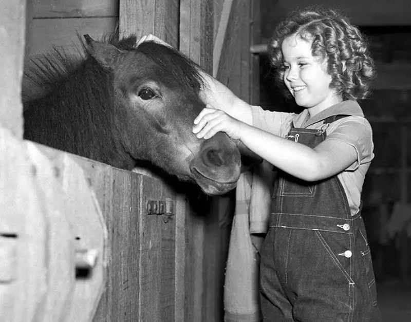 shirley temple with horse