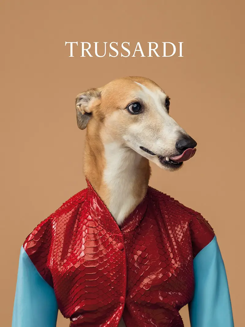 trussardi wegman ad