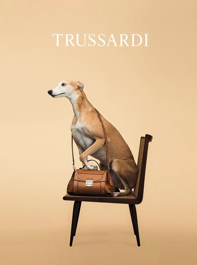 trussardi wegman ad