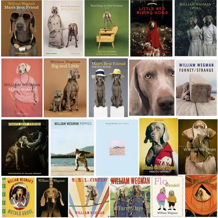 william wegman books