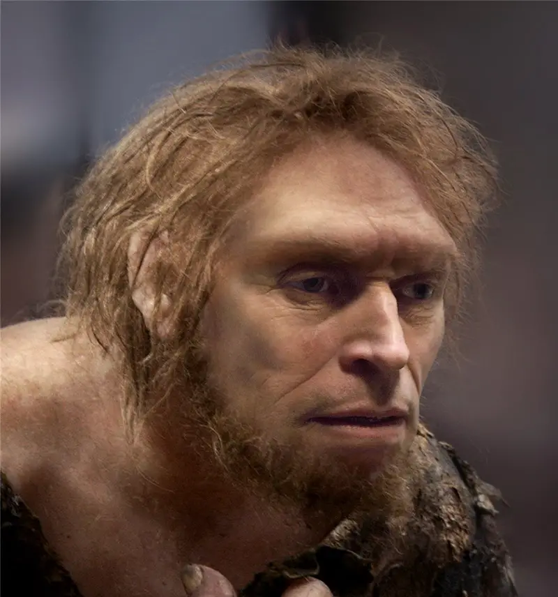 Celebrity Neanderthals