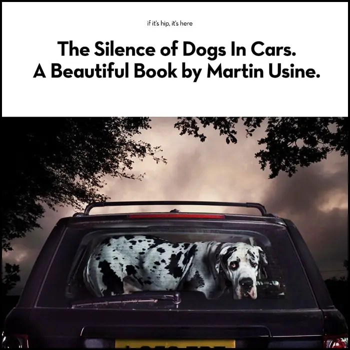 Read more about the article The Silence Of Dogs In Cars by Photographer Martin Usborne.