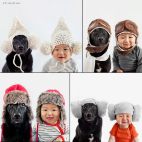 Meet Zoey and Jasper, An Adorable Pet Project by Photographer Grace Chon.