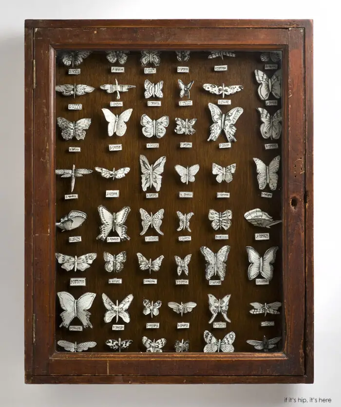 Butterfly CabinetKATHARINE MORLING IIHIH