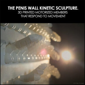 The Penis Wall Is An Interactive Wall Of Waving Willies by Peiqi Su.